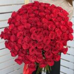 1alroz-800×800