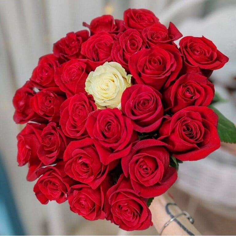 1only-you-800×800