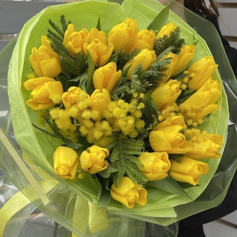 1soln_zaichik-800×800