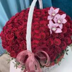 2imperatrica-800×800