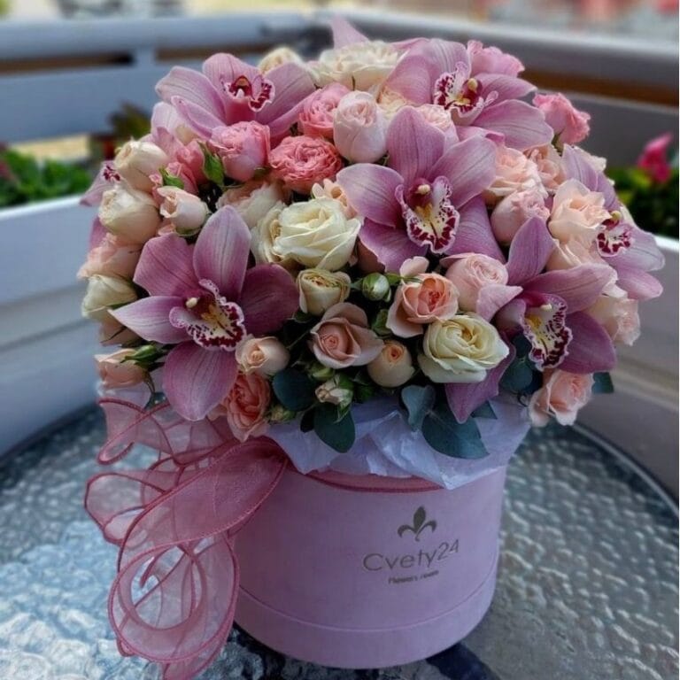 2moiy-slabost-800×800