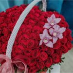 3imperatrica-800×800