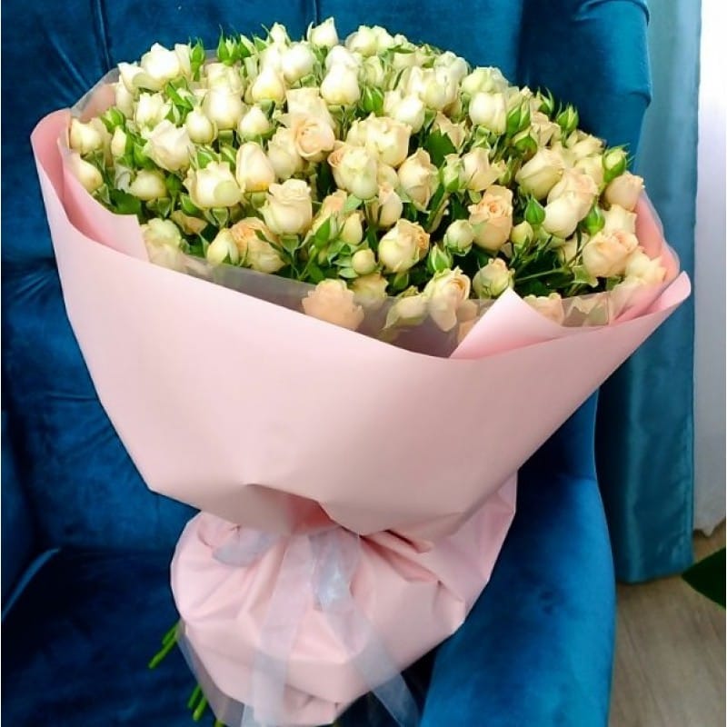 3luchi-solnca-800×800