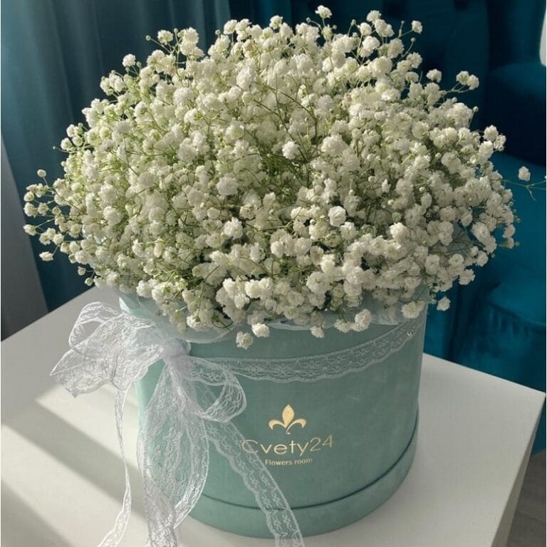 Букет в шляпной коробке из гипсофилы "Грёзы"