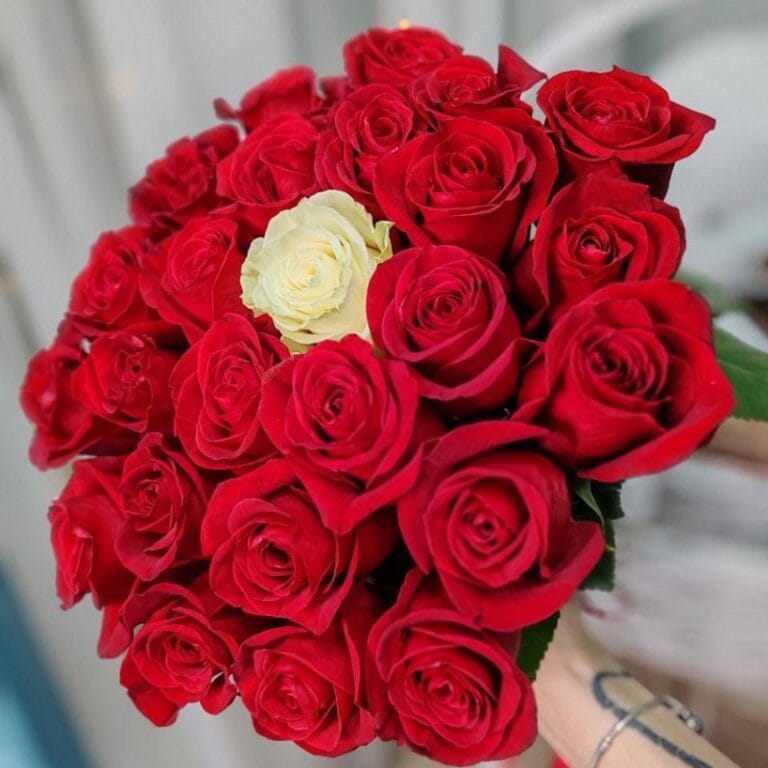 Букет из красных и белой розы "Only you"