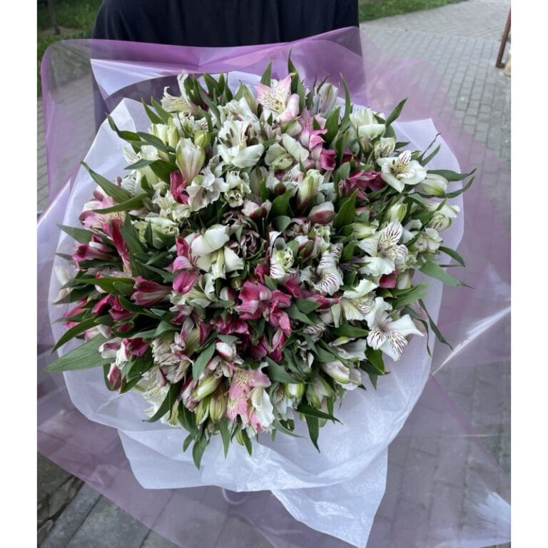 photo_01fler-800×800